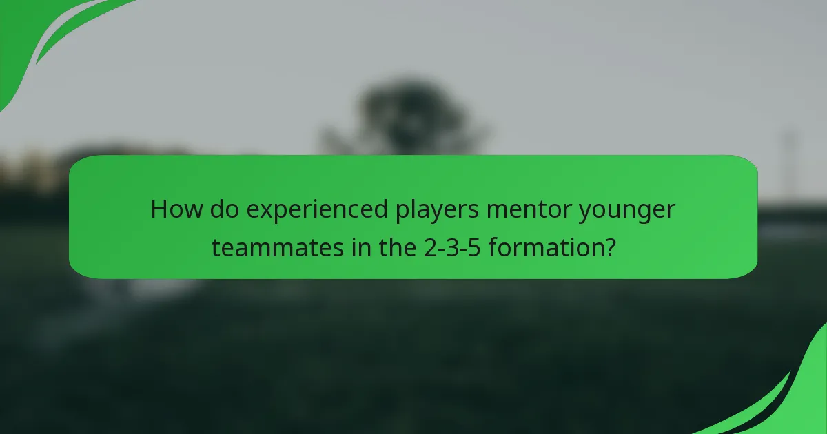 How do experienced players mentor younger teammates in the 2-3-5 formation?